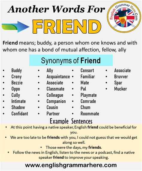 friend sinonims|fancy word for friends.